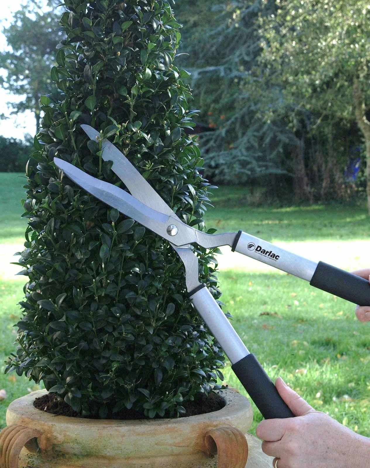 Darlac Lightweight Shear - Image 2