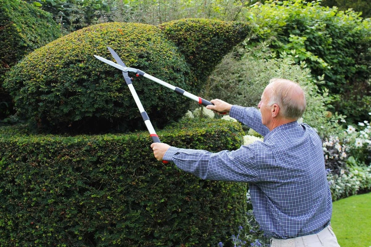 Darlac Telescopic Hedge Shear - Image 2