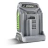 EGO CHX5500E Rapid Charger