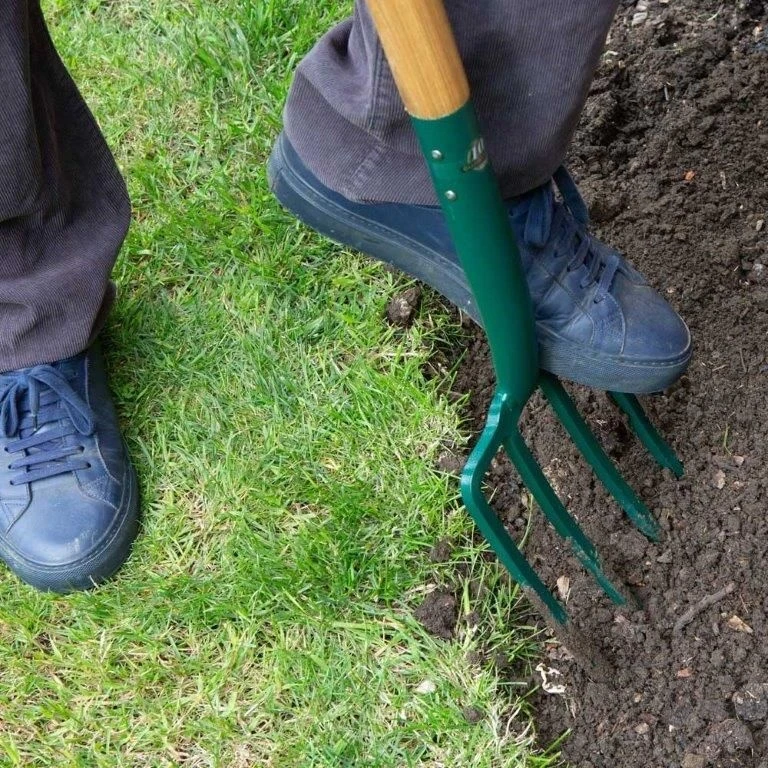 Wilkinson Sword Carbon Steel Digging Fork - Image 3