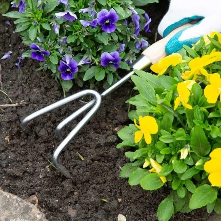 Wilkinson Sword Stainless Steel Claw - Image 4