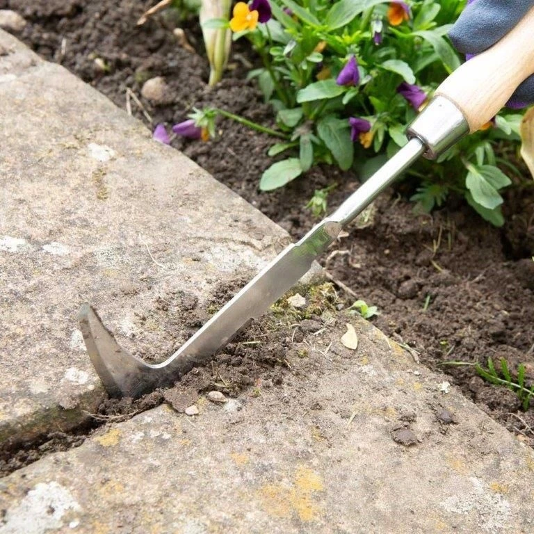 Wilkinson Sword Stainless Steel Hand Patio Knife - Image 4