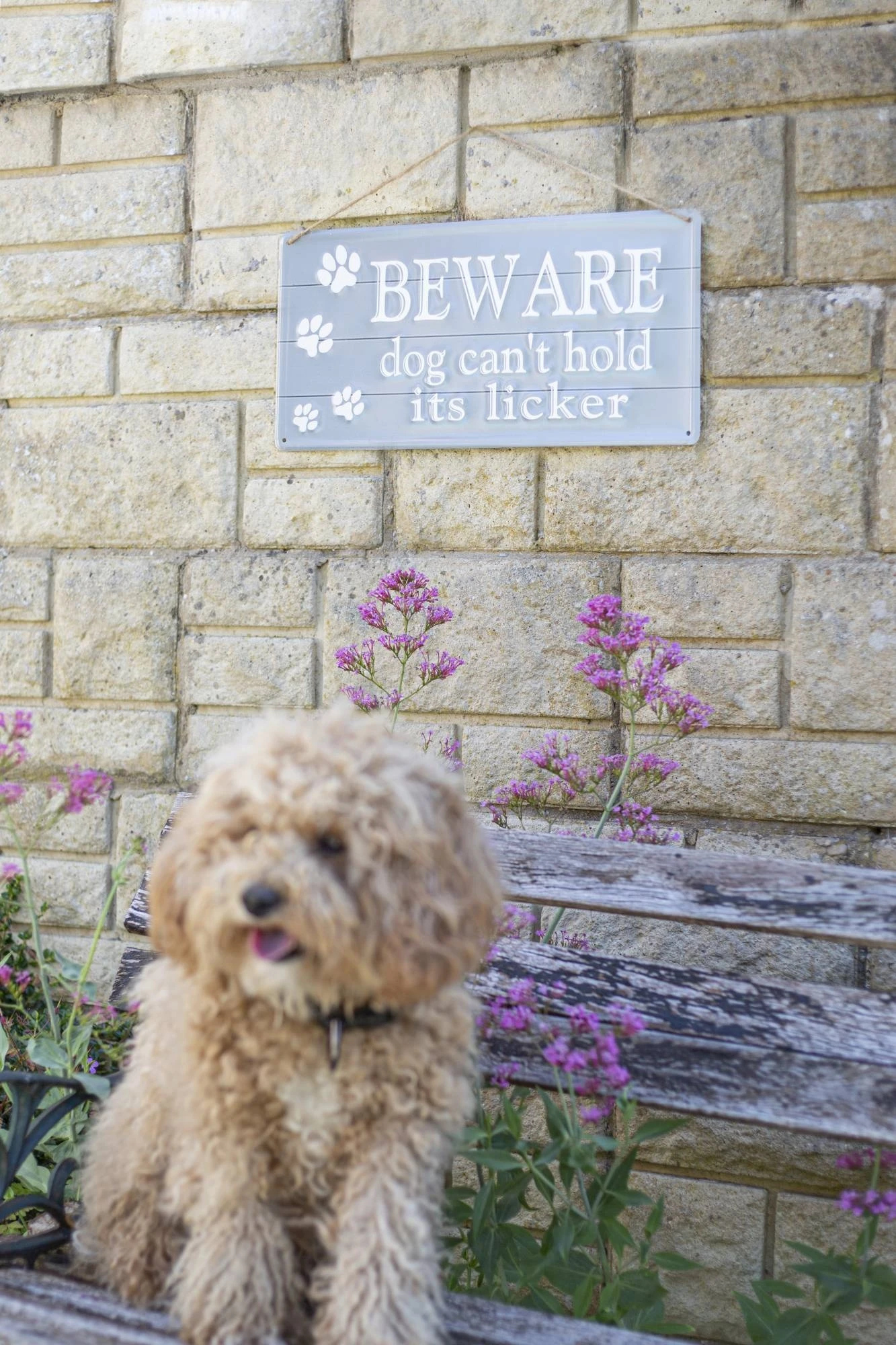 La Hacienda Beware Sign - Image 2