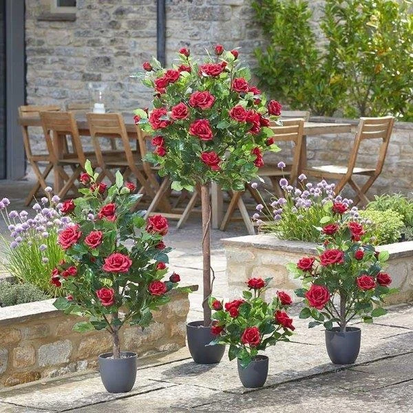 Smart Garden 120cm Regent's Roses - Ruby Red - Image 3