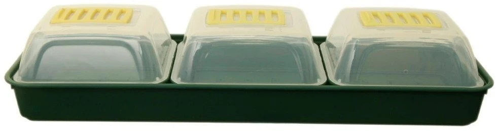 White Furze Windowsill Propagator Kit