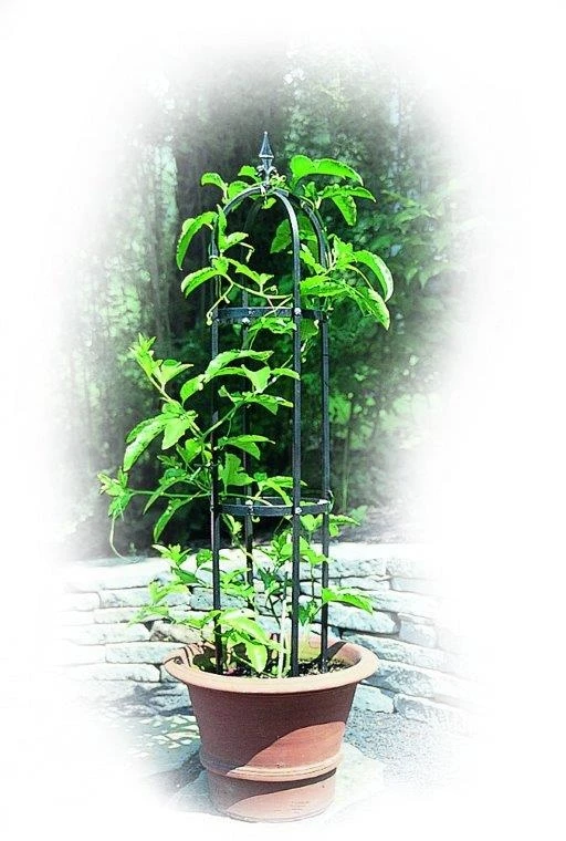 Poppy Forge Mini Traditional Obelisk