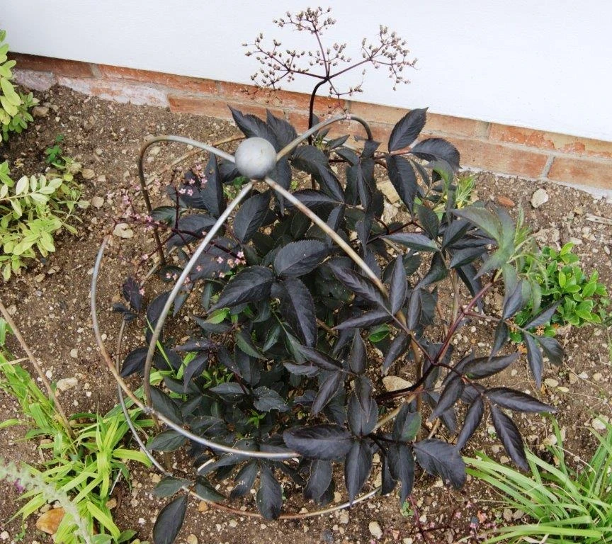 Poppy Forge Bell Cloche - Pack Of 2 - Image 4